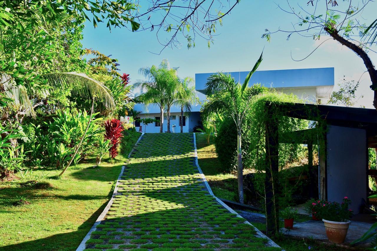בוקה צ'יקה Sand Dollar Villa מראה חיצוני תמונה